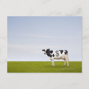 Een Holstein Dairy koe met vlekken in de vorm van Briefkaart
