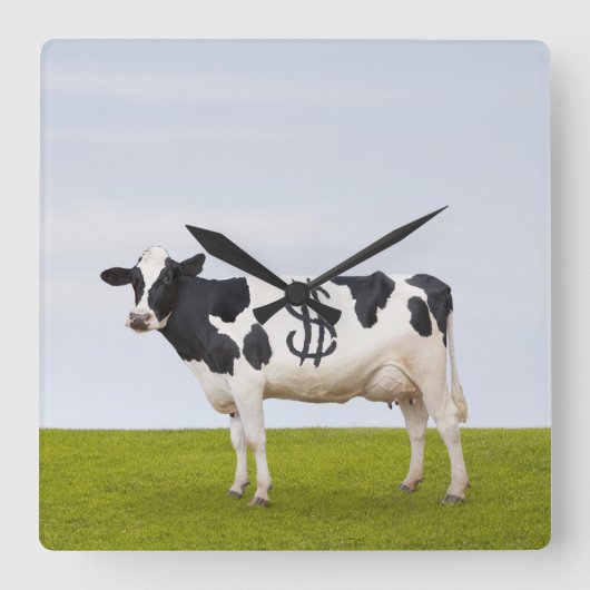 Een Holstein Dairy koe met vlekken in de vorm van Vierkante Klok (Voorkant)