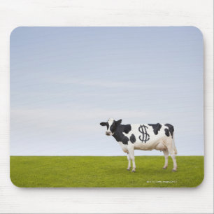 Een Holstein-melkkoe met vlekken in de vorm van Muismat