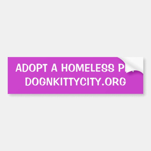 Een Homeless Pet Bumpersticker aannemen (Voorkant)