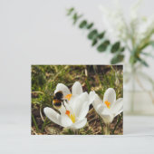 Een hommel die naar een kroonbloem vliegt briefkaart (Staand voorkant)