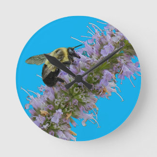 Een hommel en Anise Hyssop Ronde Klok
