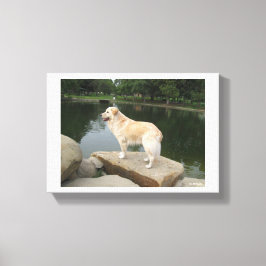 Een hond bij een vijver canvas afdruk