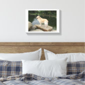 Een hond bij een vijver canvas afdruk (Insitu (Slaapkamer))