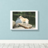 Een hond bij een vijver canvas afdruk (Insitu (Houten vloer))