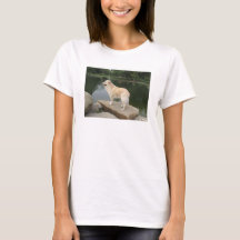 Een hond bij een vijver