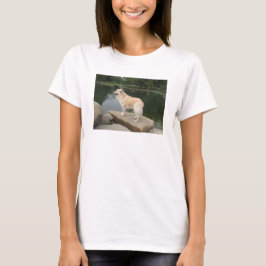 Een hond bij een vijver t-shirt