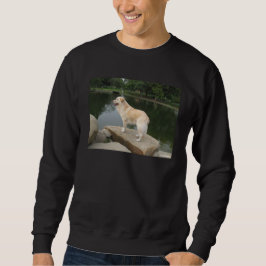 Een hond bij een vijver trui
