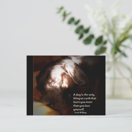 Een hond... briefkaart (Staand voorkant)