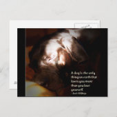 Een hond... briefkaart (Voorkant / Achterkant)