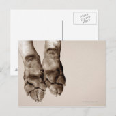 Een hond briefkaart (Voorkant / Achterkant)