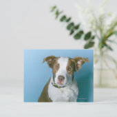 Een hond briefkaart (Staand voorkant)