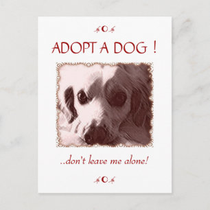 Een hond-Briefkaart aannemen Briefkaart