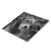 Een hond buiten. tegeltje (Zijkant)