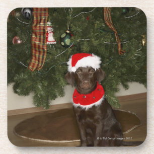 Een hond die bij een kerstboom zit bier onderzetter