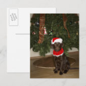 Een hond die bij een kerstboom zit feestdagenkaart (Voorkant / Achterkant)
