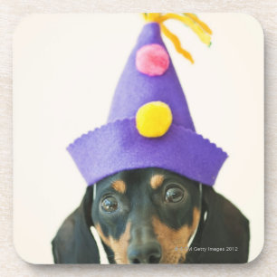 Een hond die een grappig pet draagt drankjes onderzetter