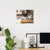 Een hond die een ijsje uit een bedekking eet poster (Thuiskantoor)