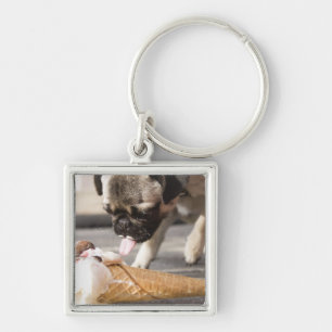 Een hond die een ijsje uit een bedekking eet sleutelhanger