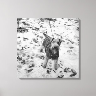 Een hond die een jasje draagt. canvas afdruk