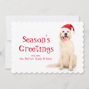 Een hond die een kerstPet droeg Feestdagenkaart