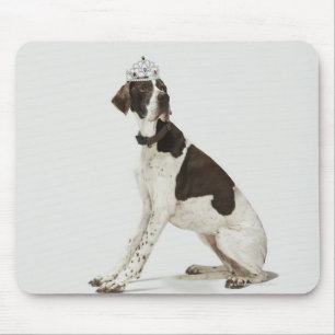 Een hond die met een tiara op zijn kop zit muismat