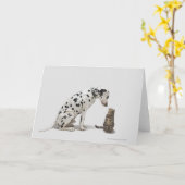 Een hond die naar een kat kijkt kaart (Gele Bloem)