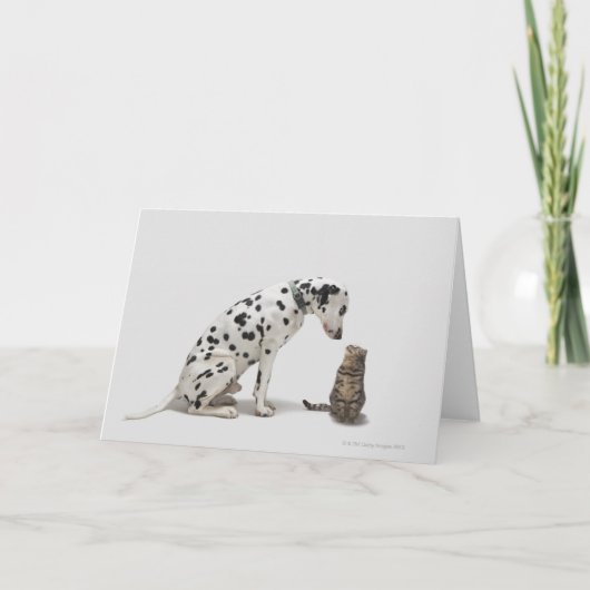 Een hond die naar een kat kijkt kaart (Voorkant)