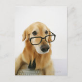 Een hond draagt een stropdas en een bril op een st briefkaart (Voorkant)