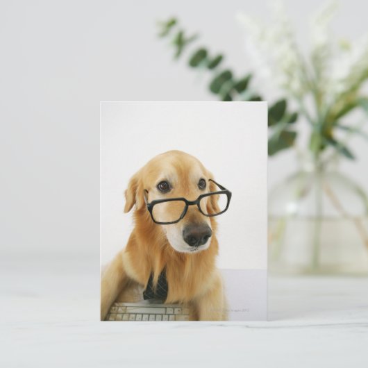 Een hond draagt een stropdas en een bril op een st briefkaart (Staand voorkant)