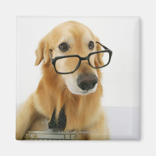 Een hond draagt een stropdas en een bril op een st magneet