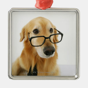 Een hond draagt een stropdas en een bril op een st metalen ornament