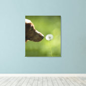 Een hond en een dandelion. canvas afdruk (Insitu (Houten vloer))