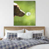 Een hond en een dandelion. canvas afdruk (Insitu (Slaapkamer))