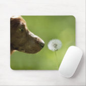 Een hond en een dandelion. muismat (Met muis)