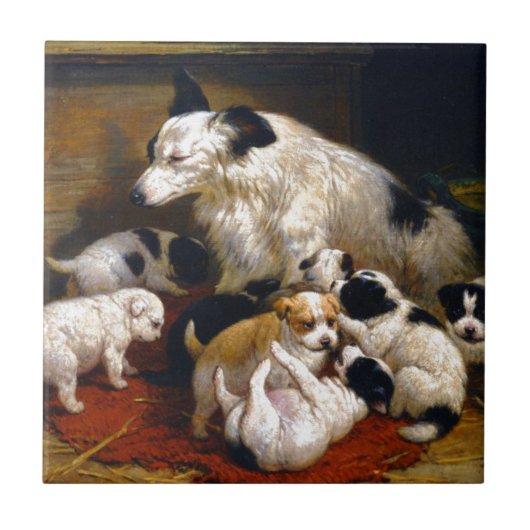 Een hond en haar puppies tegeltje (Voorkant)
