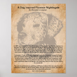 Een hond geïnspireerde Florence Nightingale om een Poster