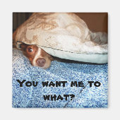 Een hond genaamd Mia Magneet (Voorkant)