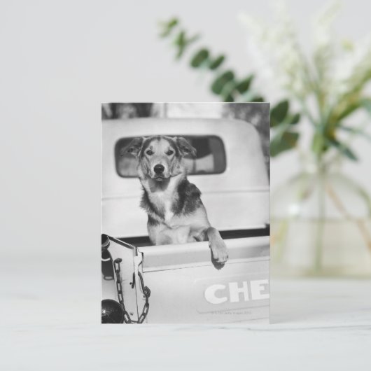 Een hond in een auto briefkaart (Staand voorkant)