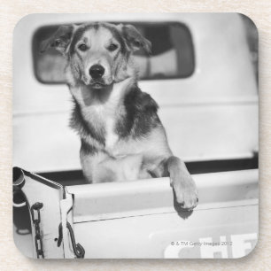 Een hond in een auto. onderzetter