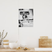 Een hond in een auto. poster (Keuken)