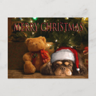 Een hond is niet alleen voor Kerstmis maar voor he Feestdagenkaart