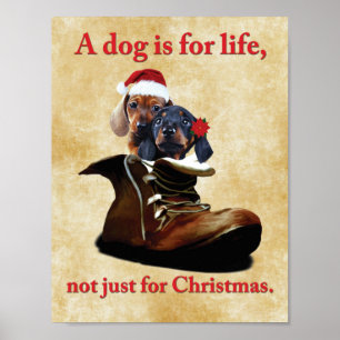 "Een hond is voor het leven, niet alleen voor Kers Poster