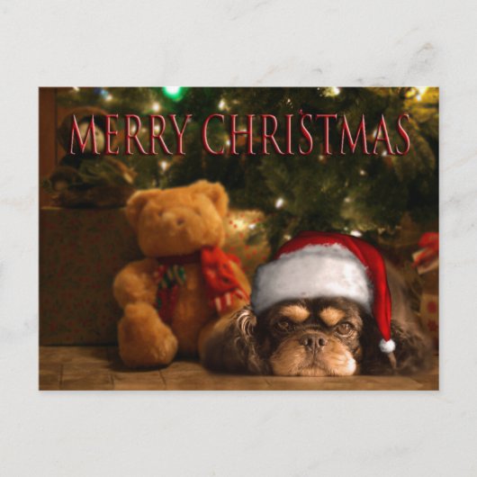 Een hond is voor het leven, niet alleen voor Kerst Feestdagenkaart (Voorkant)