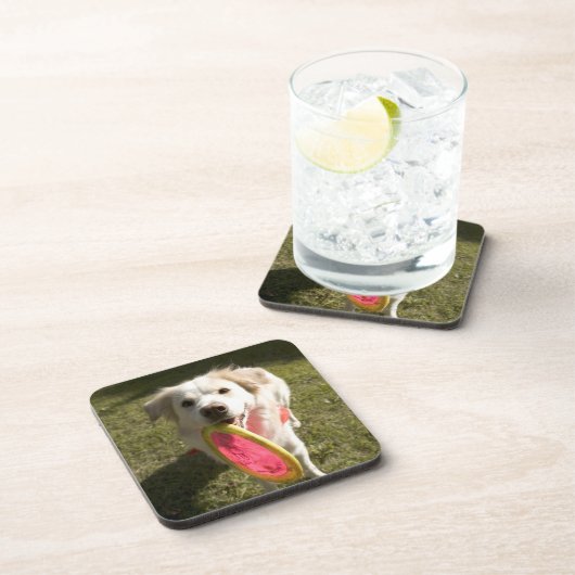 Een hond met een frisbee drankjes onderzetter (Rechterzijde)
