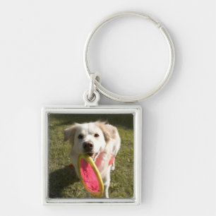 Een hond met een frisbee sleutelhanger
