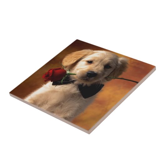 Een hond met een ventilator tegeltje (Zijkant)