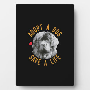 Een hond nemen om een reddingsNewfoundland te redd Fotoplaat
