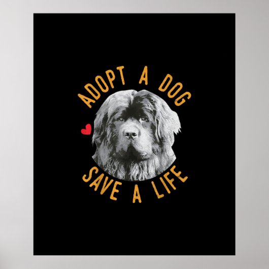 Een hond nemen om een reddingsNewfoundland te redd Poster (Voorkant)