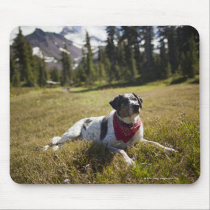Een hond rust na een wandeling naar Jefferson Park Muismat